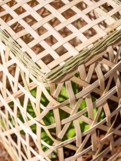 Bamboo Cloche, Set Of 2 -Gardening Supplies 8613351 0154