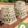 Bamboo Cloche, Set Of 2 -Gardening Supplies 8613351 12