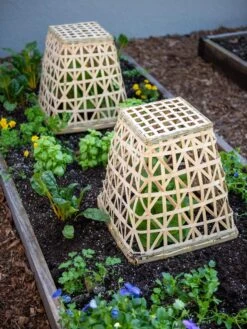 Bamboo Cloche, Set Of 2 -Gardening Supplies 8613351 6766