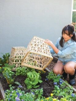 Bamboo Cloche, Set Of 2 -Gardening Supplies 8613351 6862