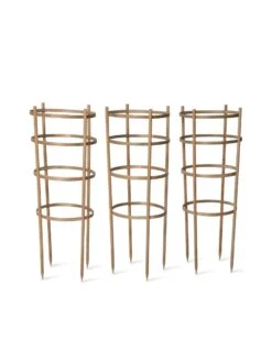 Bamboo Tomato Cages, Set Of 3 -Gardening Supplies 8613426 4679 bamboo tomato cages 3