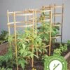 Bamboo Tomato Cages, Set Of 3 2 Bamboo Tomato Cages, Set Of 3 -Gardening Supplies 8613426 7