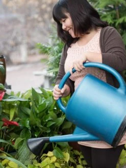 French Blue Watering Can 15 French Blue Watering Can -Gardening Supplies EmilyHoangSquare 0151 tif