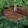 Coco Coir Tree Rings, Set Of 2 -Gardening Supplies GS33501 04 001E tif