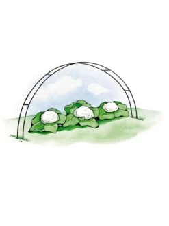 Super Hoops, Set Of 6 -Gardening Supplies GS39423 02S 3 4