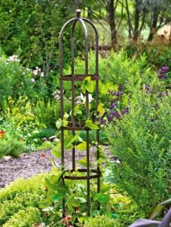 Jardin Bird Cage Support, 26" -Gardening Supplies GS39529 01 tif