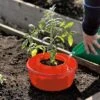 Tomato Halos, Set Of 3 1 Tomato Halos, Set Of 3 -Gardening Supplies GS40357 01 tif