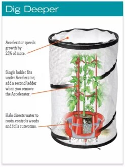 Tomato TLC Kits, Set Of 3 -Gardening Supplies hiw 8594214 jpg